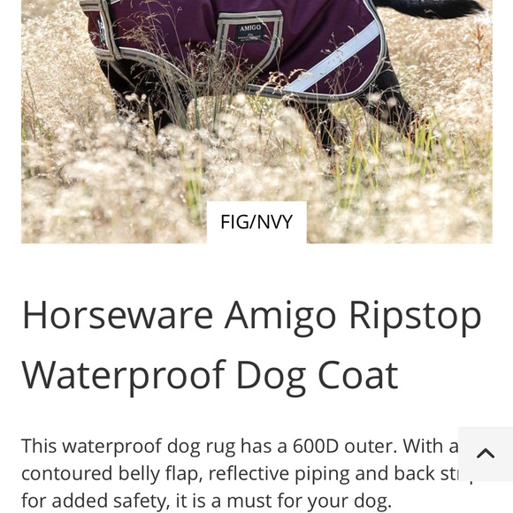 Horseware dog blanket - Picture 2 of 2